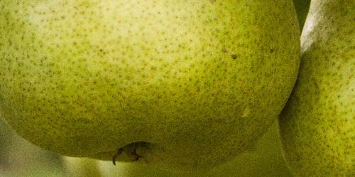 pear