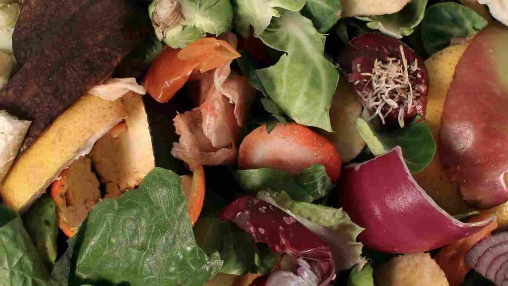 food waste